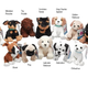 Illustration for article titled Nintendog Beanies: At Last, a Puppy That Wont Pee on Your Bed